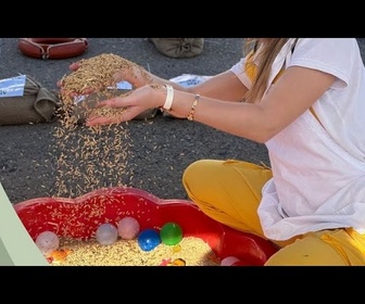 Replay Festival du riz de l'UE : les producteurs européens peinent à faire face à la concurrence asiatique