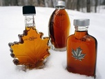 Replay Canada, le pays du sirop d'érable - 360° Reportage