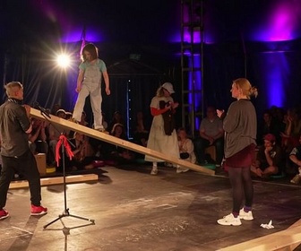 Replay ARTE Journal - Le CircusDanceFestival : au plus près du cirque