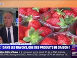 Replay La chronique éco - Plus de fraise, ni de cerise en hiver: une annonce surtout très symbolique pour Intermarché