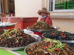 Replay Cambodge, le marché aux insectes - Marchés du monde