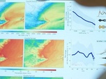 Replay ARTE Journal - La Méditerranée en surchauffe, cause de tempêtes