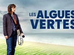 Replay Les Algues vertes