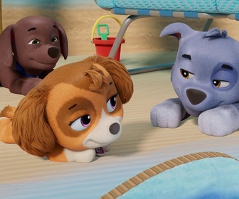 Replay Paw Patrol, la Pat'Patrouille - Les vacances de M. Hellinger