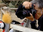 Replay Focus photographie - Bestialement photogénique : Miguel Vallinas