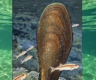 Replay Invitation au voyage - 30/04/2026 - En Sardaigne, on tisse les fruits de la mer
