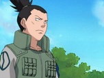 Replay Naruto - S9 E16 - La contre-attaque de Suiko
