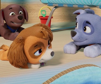 Replay Paw Patrol, la Pat'Patrouille - Les vacances de M. Hellinger