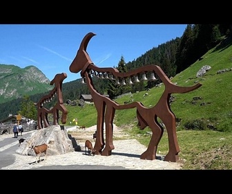 Replay Les chèvres circulent librement dans ce village des Alpes françaises
