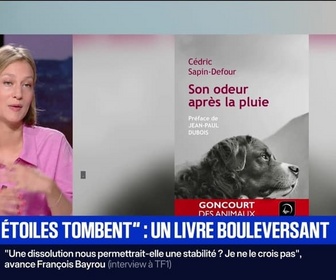 Replay BFM Première - Où les étoiles tombent : un livre bouleversant - 28/08