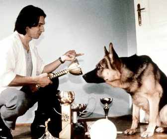 Replay Rex, chien flic - Tricher n'est pas jouer