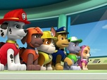 Replay Paw Patrol, la Pat'Patrouille - Maurice est coincé