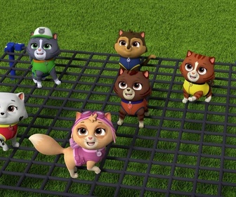Replay Paw Patrol, la Pat'Patrouille - Le concours de sculpture sur sable