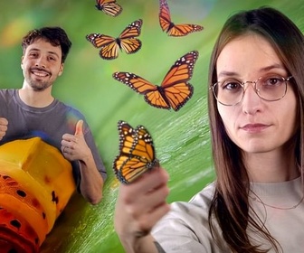 Replay De chenille à insecte : une fascinante transformation - Le Vortex