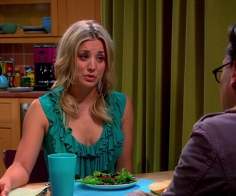 Replay The Big Bang Theory - S6E24 - Bon voyage !