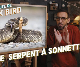Replay La minute de Max Bird - Le Serpent à sonnette