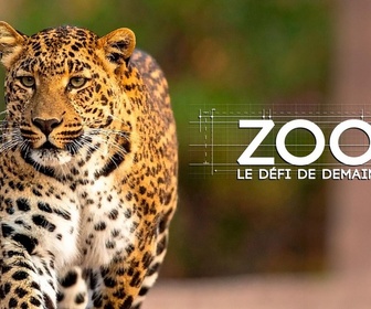 Replay Zoo, le défi de demain - 06/07/2026