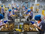 Replay La face cachée de l'industrie alimentaire (1/2)