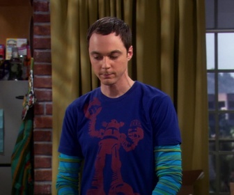 Replay The Big Bang Theory - S2E18 - Les fleurs de Penny