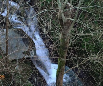 Replay Bûcheron, un métier à hauts risques - Chantiers d'exception