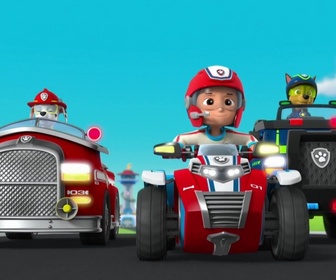 Replay Paw Patrol, la Pat'Patrouille - Les mésanges charbonnières