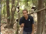 Replay Latitude Malgache - Anjohibé. Au cœur de la terre - Madagascar