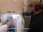 Replay 66 minutes - Qui fera la meilleure pizza du monde ?