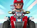 Replay Paw Patrol, la Pat'Patrouille - Le petit chat perché