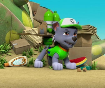 Replay Paw Patrol, la Pat'Patrouille - Sauvons les tortues