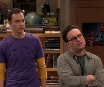 Replay The Big Bang Theory - S10E7 - Une vérité approximative