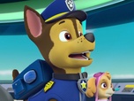 Replay Paw Patrol, la Pat'Patrouille - La Kermesse de la Grande Vallée