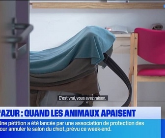Replay Les longs formats des Locales - Côte d'Azur : quand les animaux apaisent