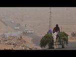 Replay Les éleveurs de Cisjordanie utilisent des ânes et des tranchées pour transporter le lait de nuit