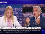 Replay 20H BFM - Loi Duplomb: le Conseil constitutionnel remis en cause par le RN