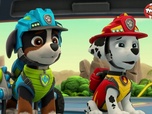 Replay Paw Patrol, la Pat'Patrouille - Mission Dino : A la recherche des oeufs perdus