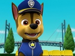 Replay Paw Patrol, la Pat'Patrouille - Tous en scène !