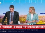 Replay BFM Première - BFM éco : Fruits et légumes, des récoltes totalement perdues - 13/08