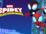 Replay Spidey et ses amis extraordinaires - Pas de fête sans surprise