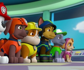 Replay Paw Patrol, la Pat'Patrouille - La guitare de Gustavo
