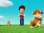 Replay Paw Patrol, la Pat'Patrouille - Une Mini Patrouille hors de contrôle