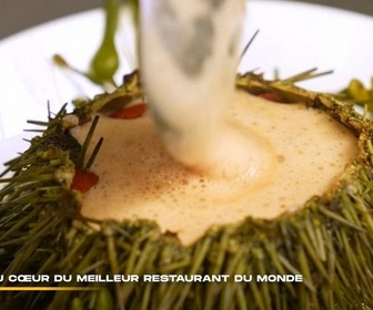 Replay 66 minutes - Au cœur du meilleur restaurant du monde