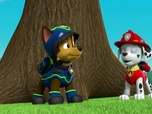 Replay Paw Patrol, la Pat'Patrouille - La Pat'Patrouille sauve Luke Stars