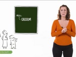 Replay C'est bon à savoir - Le calcium