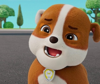 Replay Paw Patrol, la Pat'Patrouille - L'alliance des trois méchants