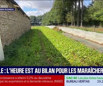 Replay Good Morning Business - Canicule : l'heure est au bilan pour les maraîchers