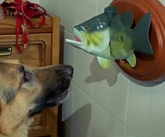 Replay Rex, chien flic - Le crocodile du Danube