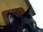 Replay Hell's cat : mon chat est un cauchemar