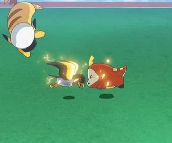 Replay Pokémon : les horizons - C'est l'heure de l'entraînement spécial