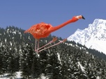 Replay Athleticus - Saut à ski