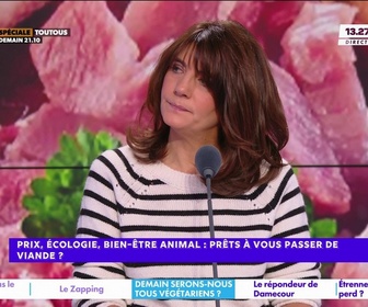 Replay Estelle Midi - Prix, écologie, bien-être animal : prêts à vous passer de viande ?